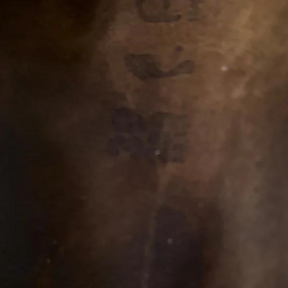 Papillio by Birkenstock Women's Double-Buckle Suede Platform Mules Tan/White - Picture 5 of 9